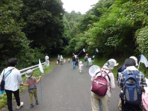 第2回自然観察会 公園内で昆虫を探しています