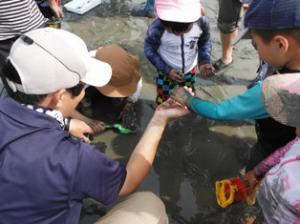 第1回自然観察会 見つかった生き物をみんなで観察しています