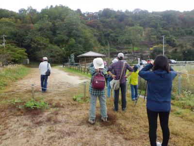 第3回自然観察会 双眼鏡の使い方を練習しながらカモを観察しています。