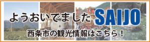 観光情報
