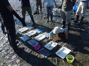 第1回自然観察会 見つかった生き物をみんなで観察しています