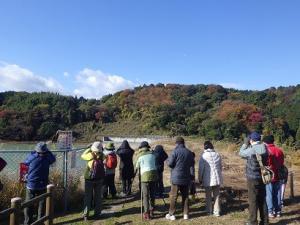 第3回自然観察会 カモ類の観察