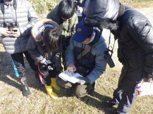 第3回自然観察会 図鑑で確認