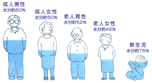 人間の体は60%は水のさし絵