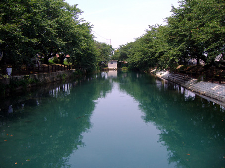 石田地区のひょうたん池(夏)の写真