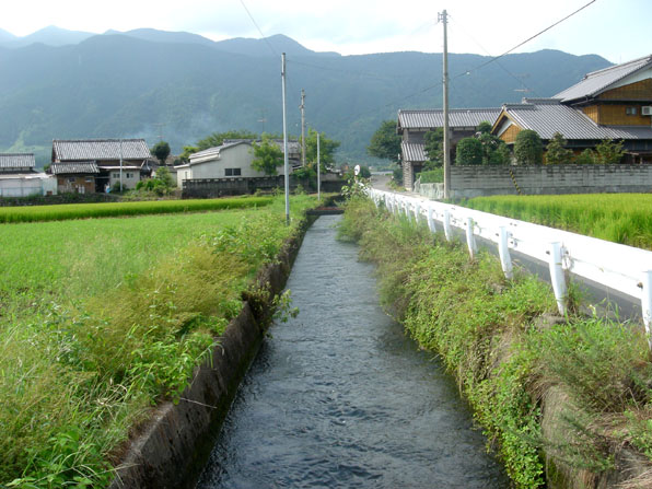 釜之口堰からの掛井手までの釜之口幹線水路(丹原町長野)の写真
