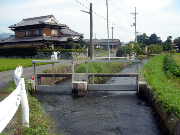 掛井手の始点(左側)釜之口幹線水路(右側)(丹原町長野 末友地区)の写真