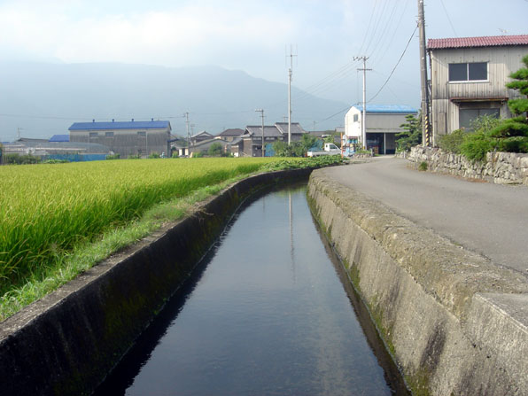 掛井手上流(丹原町長野)の写真