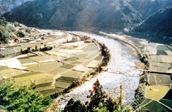 山崎地区（左）と大畑地区（右）の写真