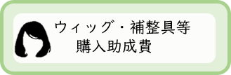 ウィッグ