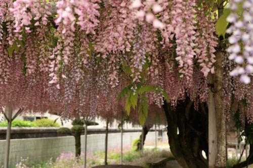長福寺