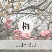 梅