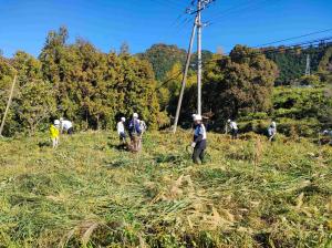 アサヒビール下刈り活動　作業風景