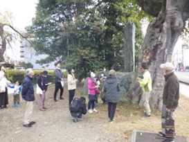 観察中2