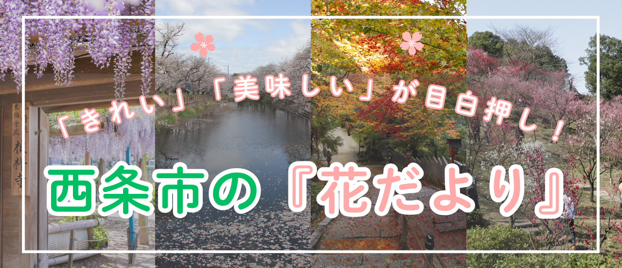 バナー
